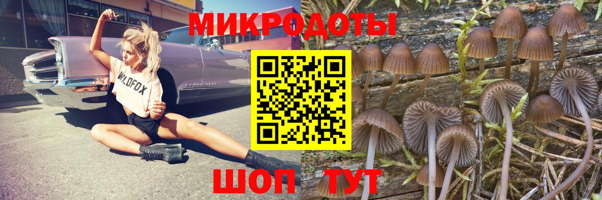 Псилоцибиновые грибы ЛСД  Вход с VPN  Псилоцибиновые грибы MAGIC MUSHROOMS  Усть-Илимск 